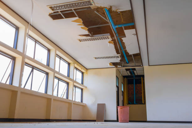 Best Basement water damage restoration  in Fowler, CO