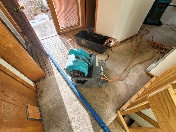 Best Flood restoration services  in Fowler, CO