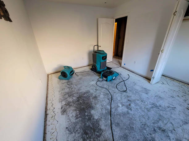 Best Water damage contractors near me  in Fowler, CO