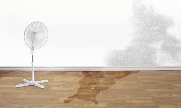 Best Water damage restoration near me  in Fowler, CO