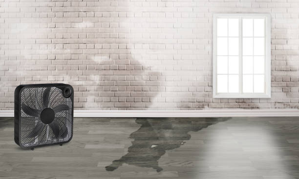 Best Water damage restoration near me  in Fowler, CO