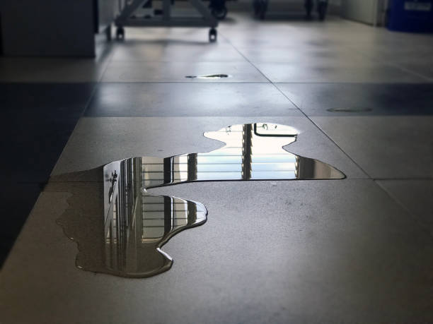 Best Commercial water damage restoration  in Fowler, CO