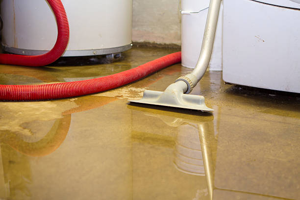 Best Professional water damage repair  in Fowler, CO