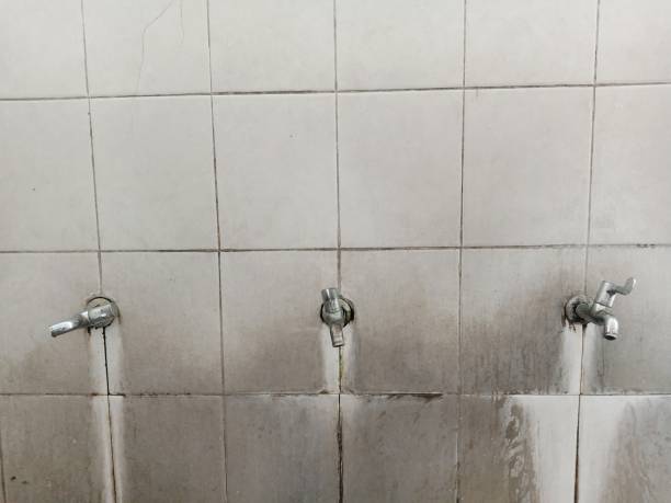 Best Water damage restoration cost  in Fowler, CO