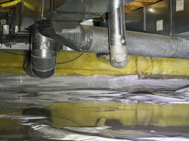 Best 24/7 water damage repair  in Fowler, CO
