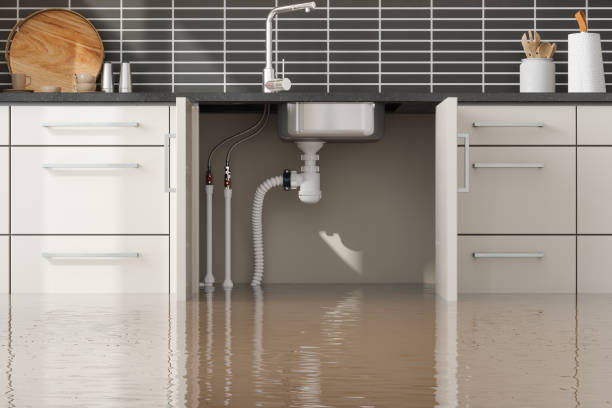 Best Water damage contractors near me  in Fowler, CO