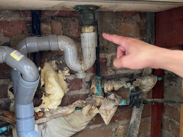 Best Water damage mitigation services  in Fowler, CO